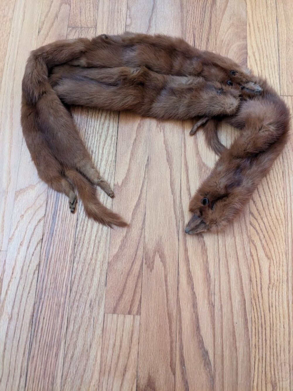 Vintage Brown Mink Fur Stole 4 Full Pelts Heads Tails Wrap 43"